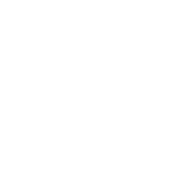usdt casino icon