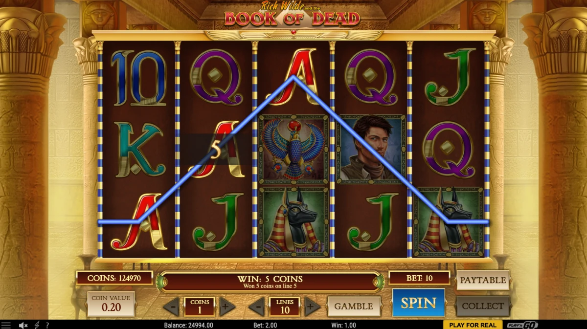 KASINOHUS-Book of Dead casino-image
